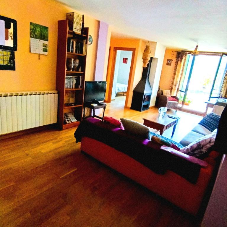 Ibonciecho, vistas fabulosas al lago, Petfriendly - Appartement 3 Chambres - 15