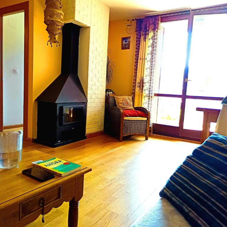 Ibonciecho, vistas fabulosas al lago, Petfriendly - Appartement 3 Chambres - 16