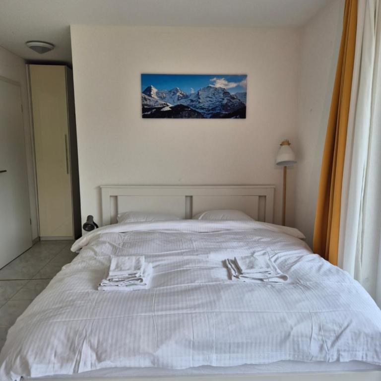 Alpine Bliss Studio - Apartment mit 1 Schlafzimmer - 5