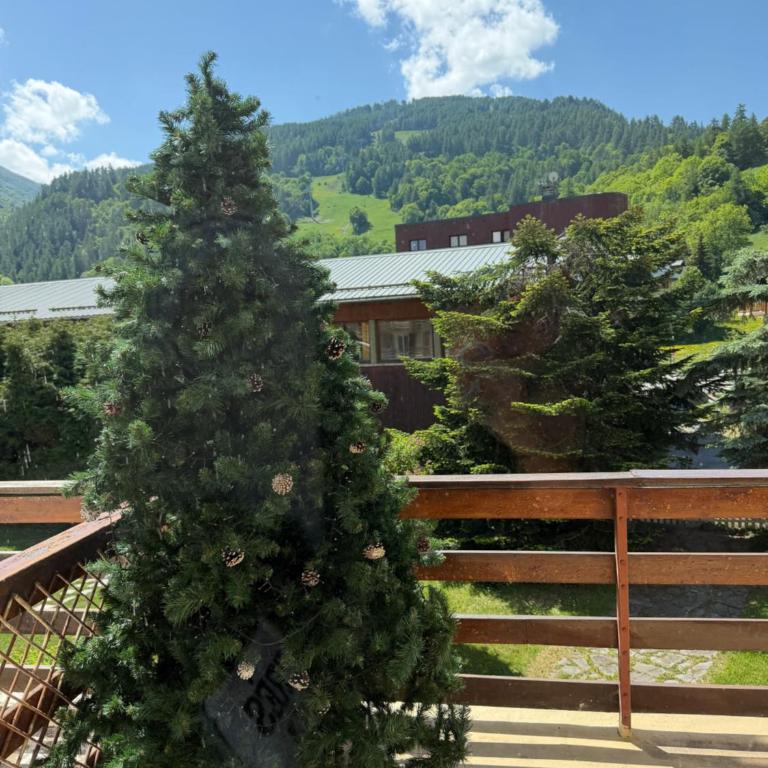 Mimi lodge familly - Appartamento con 3 Camere da Letto - 25