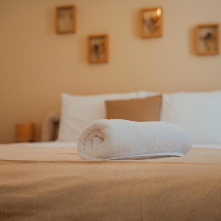 Élégant T2 lumineux avec parking privé - Apartamento de 1 dormitorio - 3
