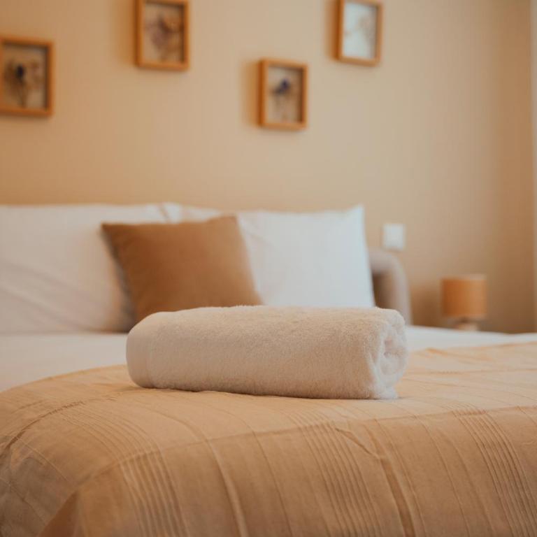 Élégant T2 lumineux avec parking privé - Apartamento de 1 dormitorio - 12