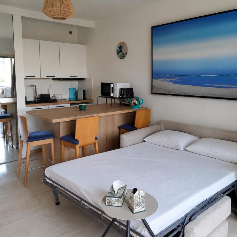 Studio avec Terrasse- Centre de Cannes - Appartement 1 Chambre - 5