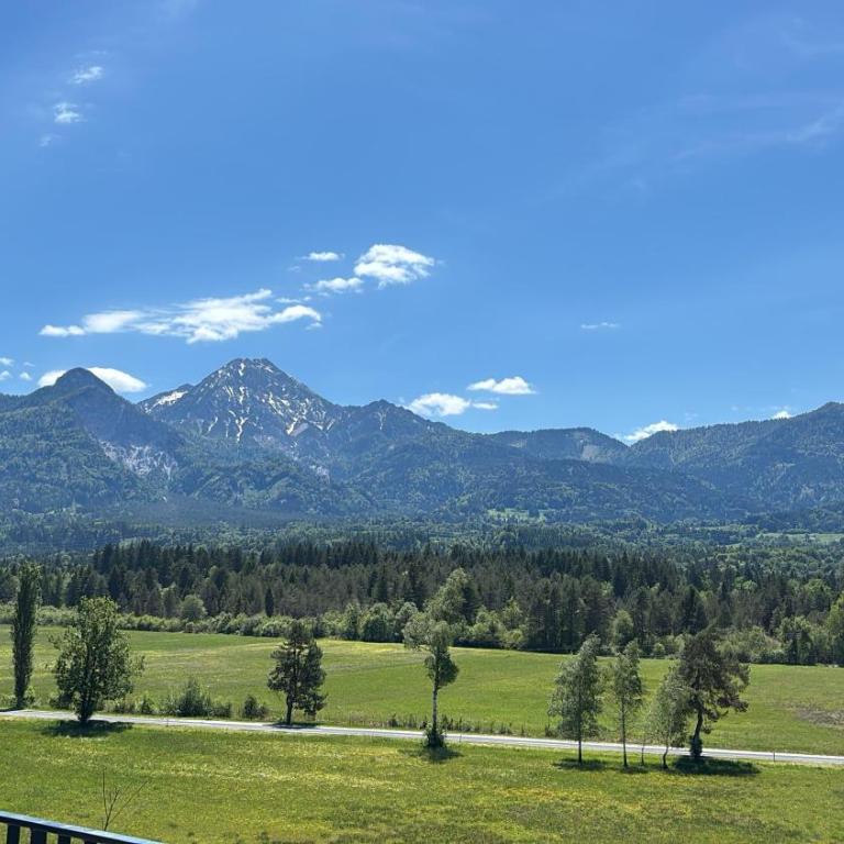 Panorama-Lodge Mittagskogel - Apartment mit Seeblick - 14