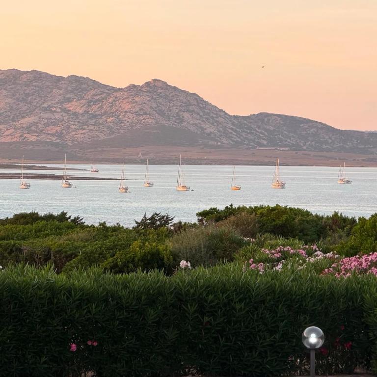 Stintino Cala Rosa con Vista Mare - Polipo - Casa con 1 Camera da Letto - 7