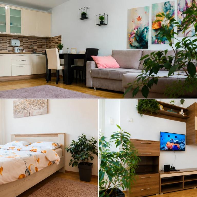 Alacaster G apartman FREE PARKING - Apartment mit 1 Schlafzimmer - 6