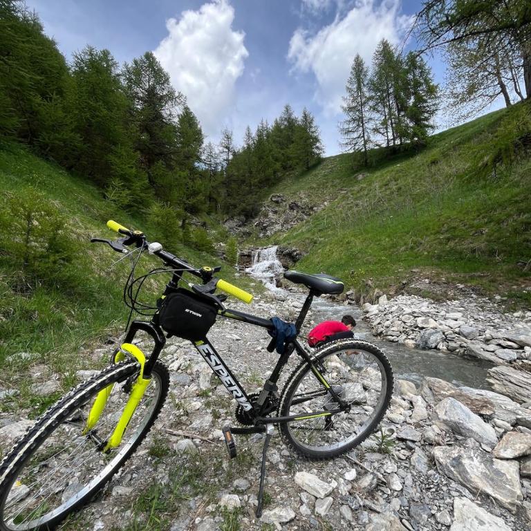 Royal Ski Lodge - Appartamento con 2 Camere da Letto - 31