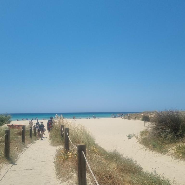Posidonia -Son Bou Apartment - Apartment mit 2 Schlafzimmern - 34