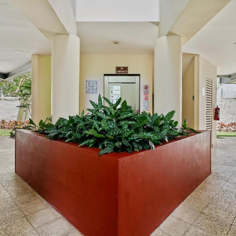 Modern Penthouse in Playa del Carmen - Appartement 3 Chambres - 10