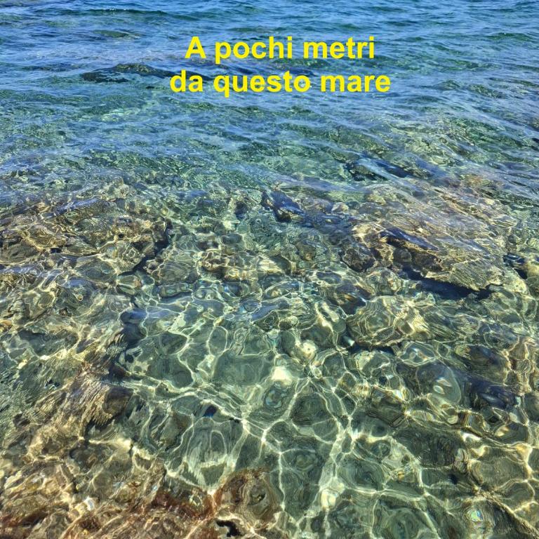 Il respiro del mare - Apartment mit 1 Schlafzimmer - 5