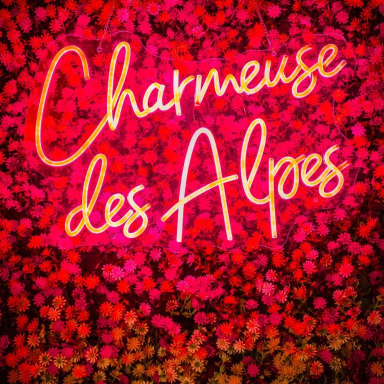 La Charmeuse des Alpes - Appartement climatisé de prestige avec jacuzzi et jardin privé - Appartement 1 Chambre - 38