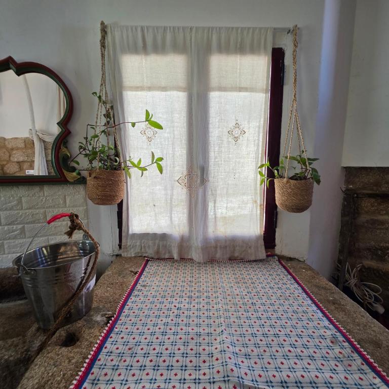 Casiña Rústica en las proximidades de la Ribeira Sacra - Casa con 1 dormitorio - 21