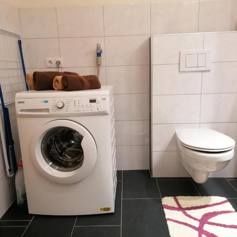 Ferienwohnung Lechner Daniel - Appartement 1 Chambre avec Douche - 10