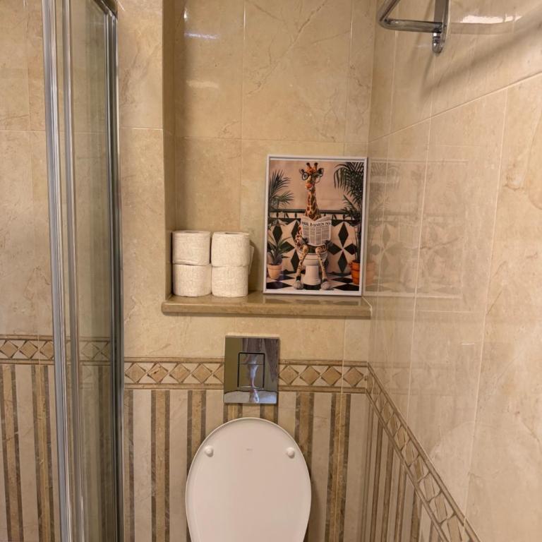 Lotus Apartmani Bečići - Apartman sa 1 Spavaćom Sobom - 11