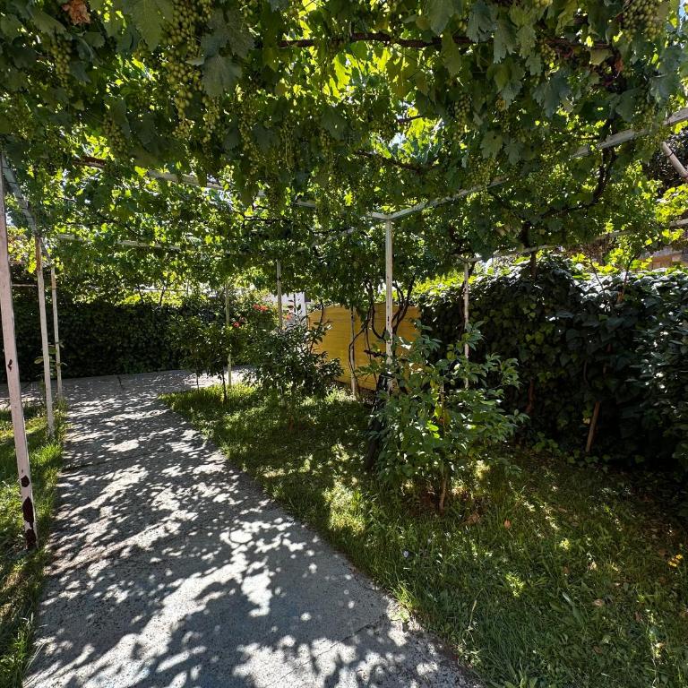 MÐM Duplex Apartment - Apartman sa 2 Spavaće Sobe - 27