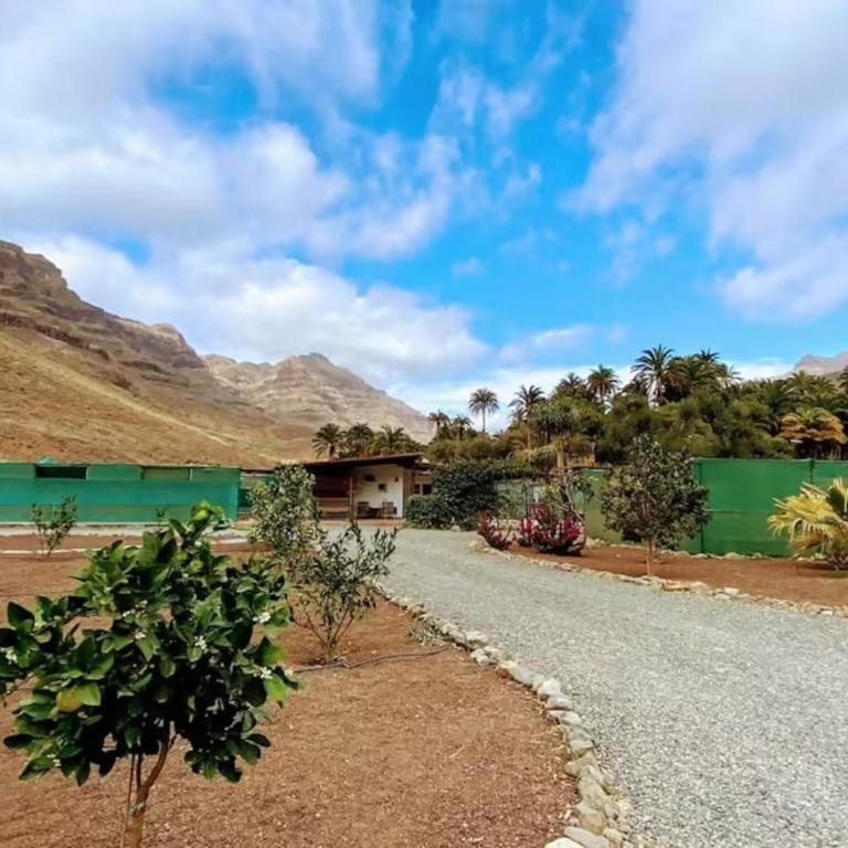 Country Studio near Fataga - One-Bedroom House - 20