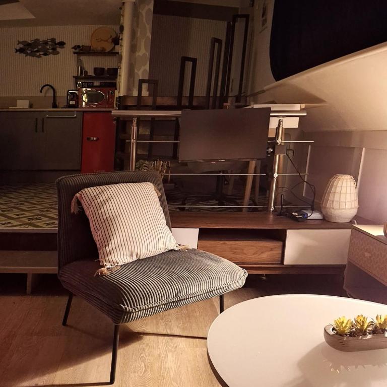 Appartement indépendant avec terrasse sur péniche - One-Bedroom Apartment - 41