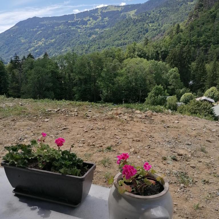 Studio La Gentiane - Appartement 1 Chambre - 5