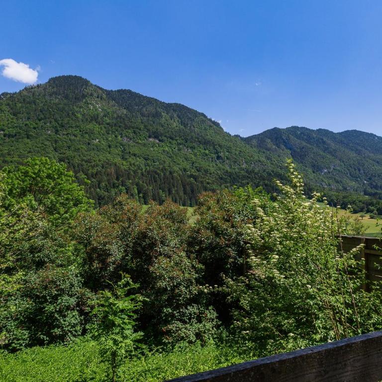 Gîte La Renardière - Appartement avec Vue sur la Montagne - 35