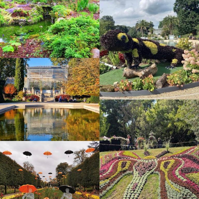 Lumineux T2 cosy Jardin des Plantes et parking privé gratuit - Appartamento con 1 Camera da Letto - 9
