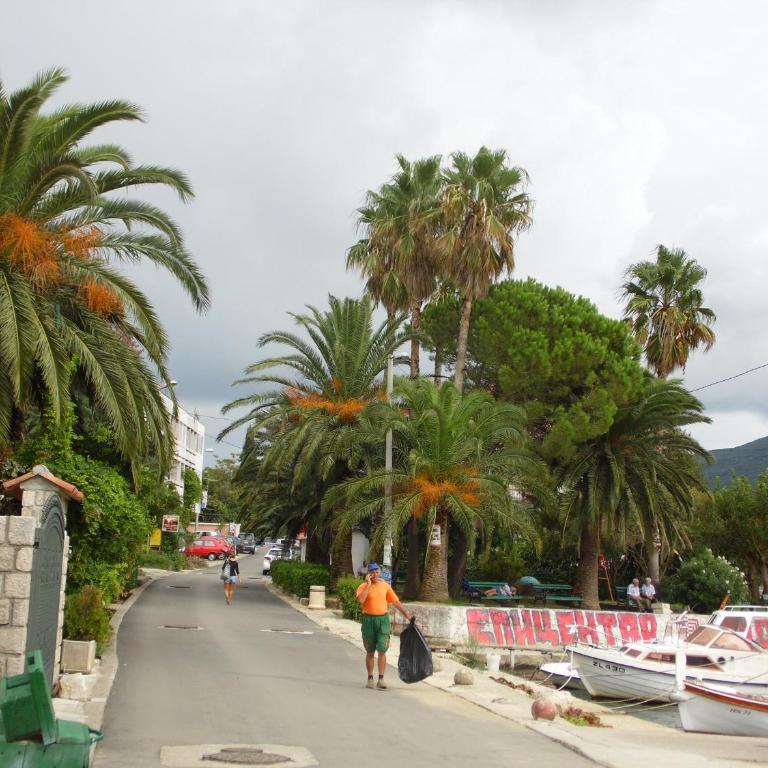 Apartment Begonia of Kumbor - Apartman sa Pogledom na More - 38