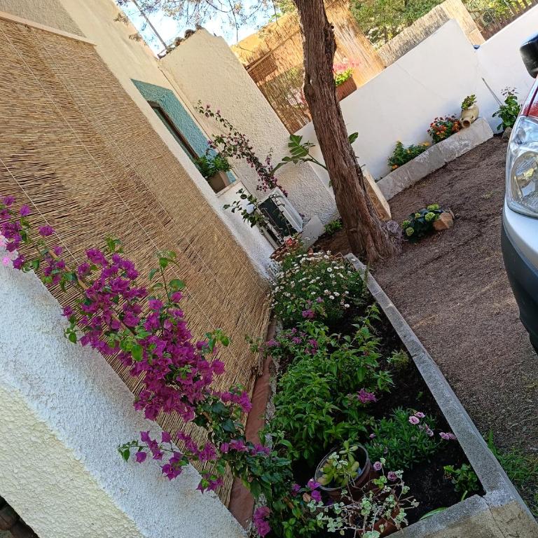 Home Paradise Rena Majore - Casa con 2 Camere da Letto - 38
