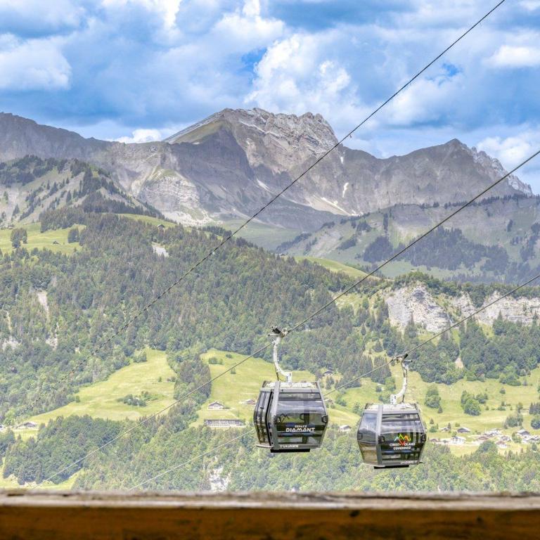 Le Chalet des pistes - cœur de l'Espace Diamant - Apartment with Mountain View - 18