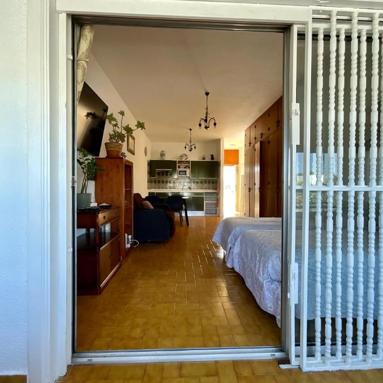 Trebol 1 - Apartamento Estudio - 49