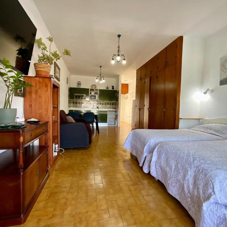 Trebol 1 - Apartamento Estudio - 29
