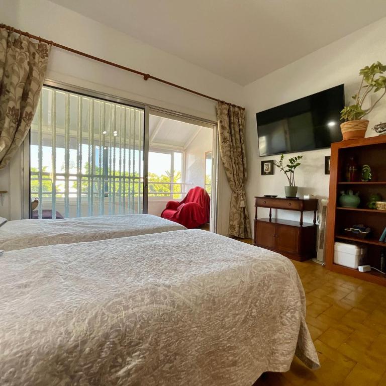 Trebol 1 - Apartamento Estudio - 55
