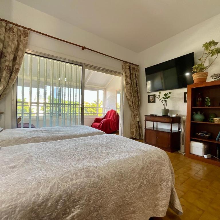 Trebol 1 - Apartamento Estudio - 56