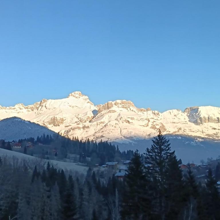 Rayon des Aravis - Studio - 10