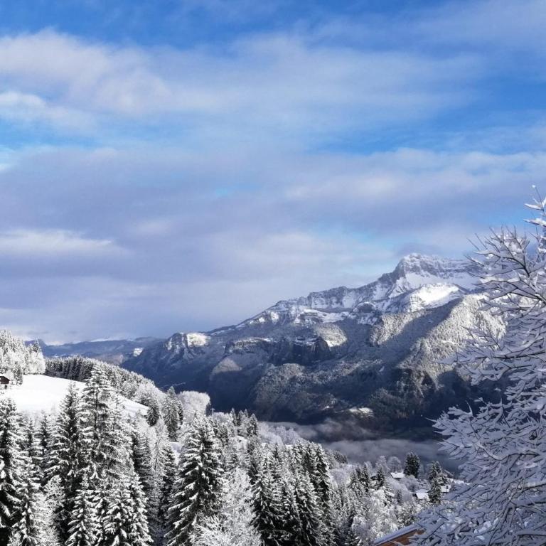 Rayon des Aravis - Studio - 15