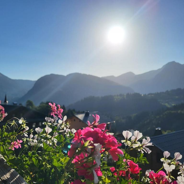 Alpine Hideaway for 2, stunning Views, Near Morzine - Maison 1 Chambre - 18