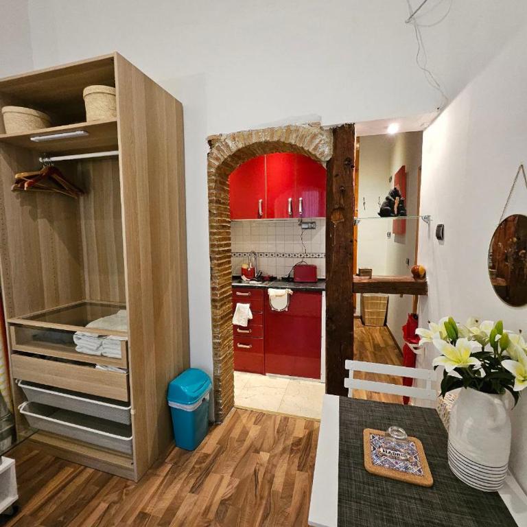 Apartamento céntrico-alquiler temporal más de 30 días - Loft - 10