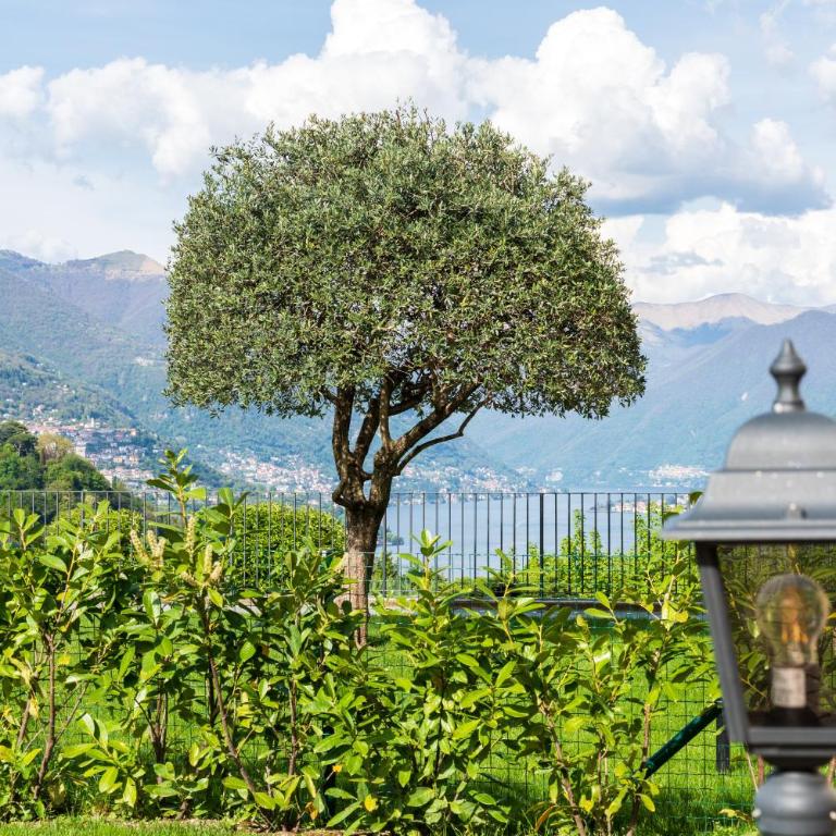 Villa Maderni Retreat - by MyHomeInComo - Appartamento con 1 Camera da Letto e con Giardino - 21
