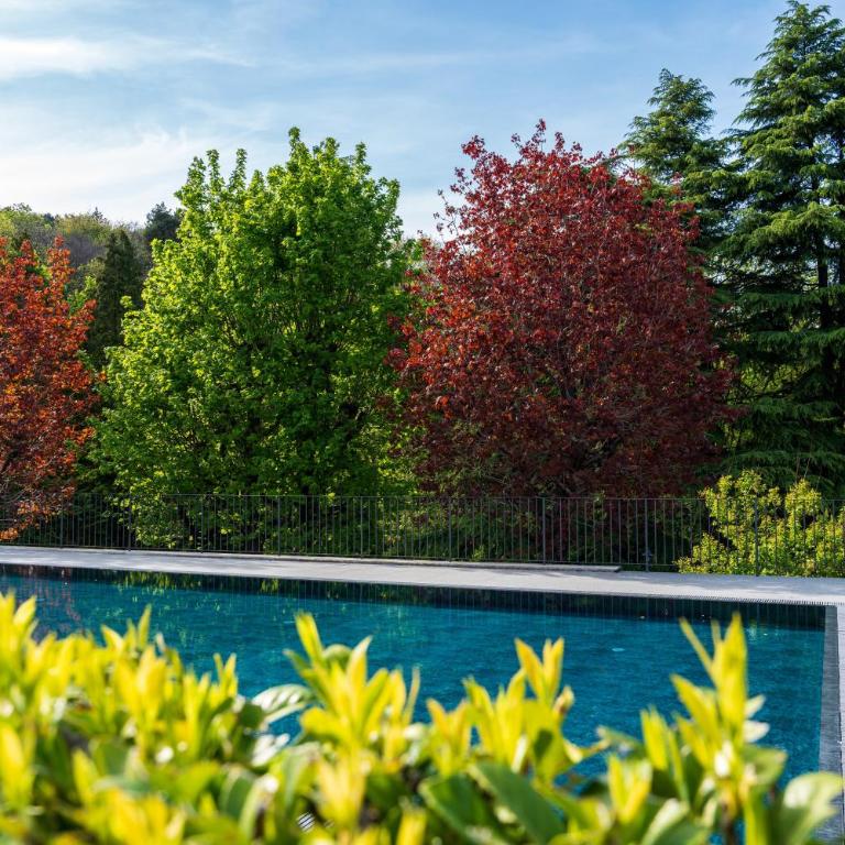 Villa Maderni Retreat - by MyHomeInComo - Appartamento con 1 Camera da Letto e con Giardino - 25