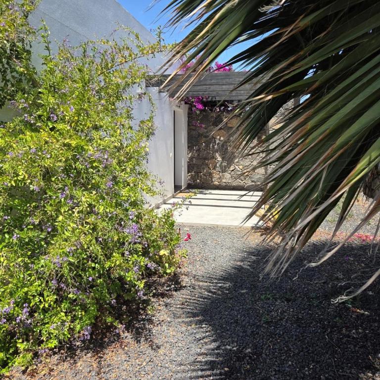 Casa Carica with heated pool in Lajares - Villa de 3 dormitorios - 4