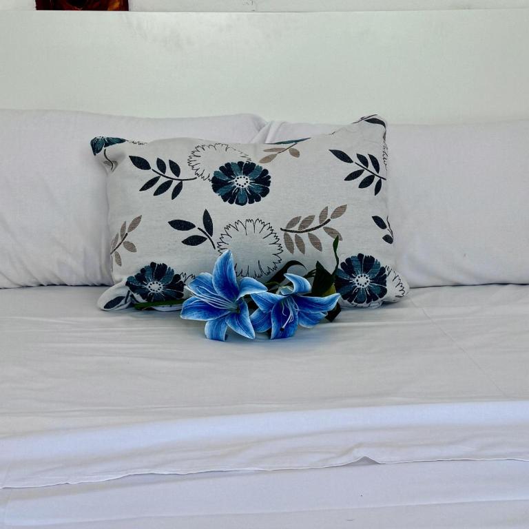 Beachfront Paradise By Gloove - Studio Standard - 15