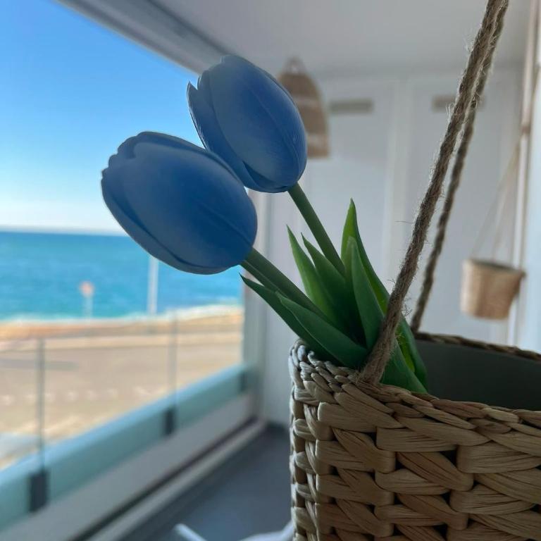 Seahome23 - Appartamento con 2 Camere da Letto - 20