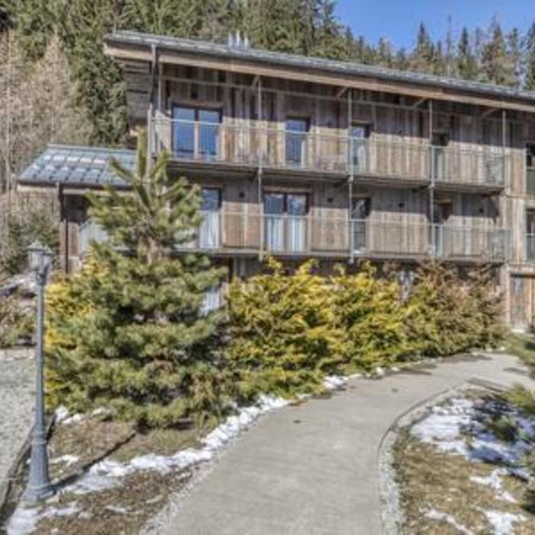 A stunning duplex flat near the Grands Montets - Apartment - 31