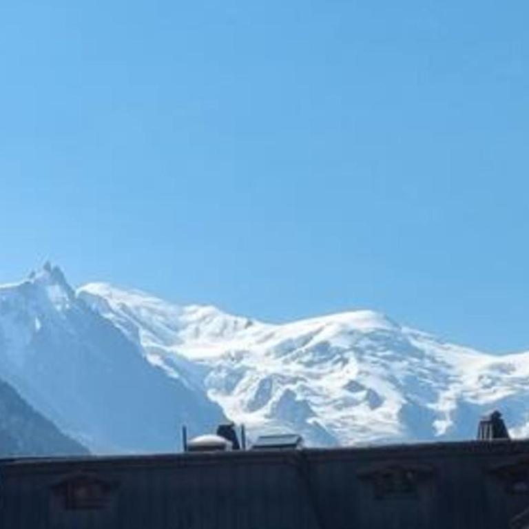 A stunning duplex flat near the Grands Montets - Apartment - 29