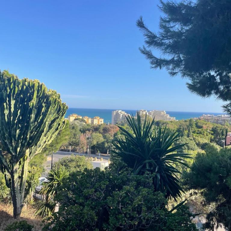 Vistas al Mar al Atardecer x Terraza Privada con Parking x Playa Cerca - Studio-Apartment mit Meerblick - 30
