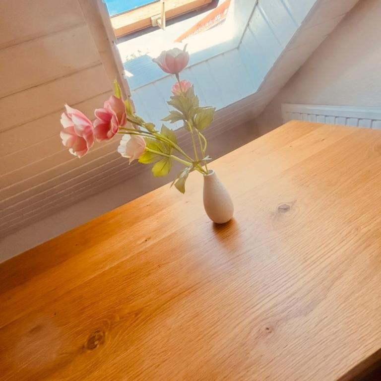 Bright attic apartment in Frauenland Hubland near university - Apartment mit 1 Schlafzimmer - 5