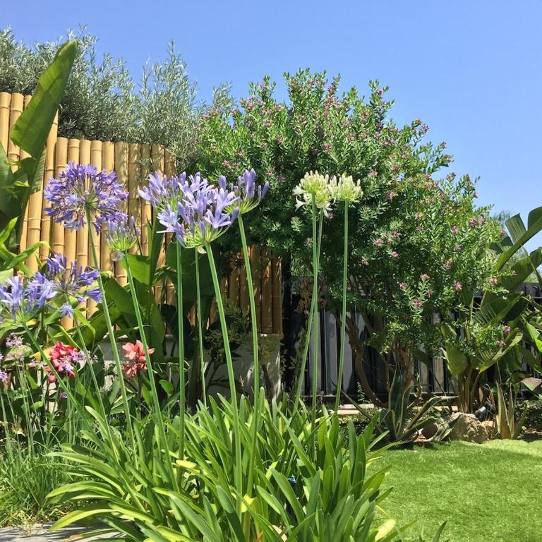 Villa Mirano - Villa - 72