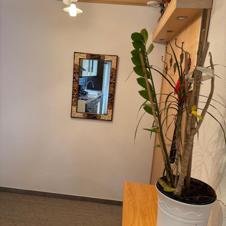 Elgi Apart - Suite Familiare Deluxe - 3