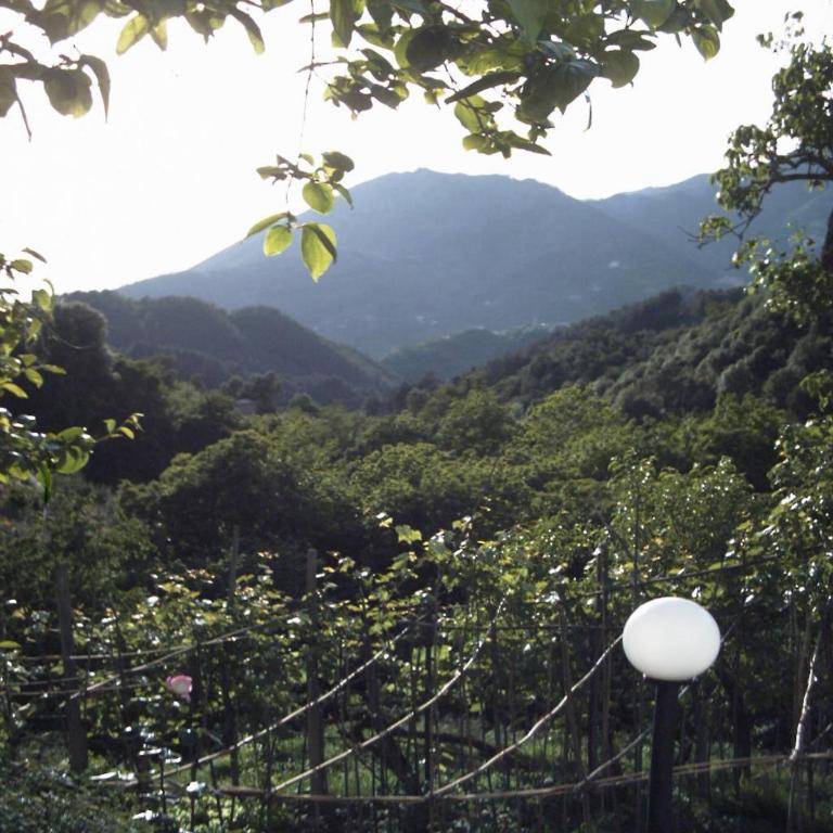 Dolcevia - Appartamento - 39
