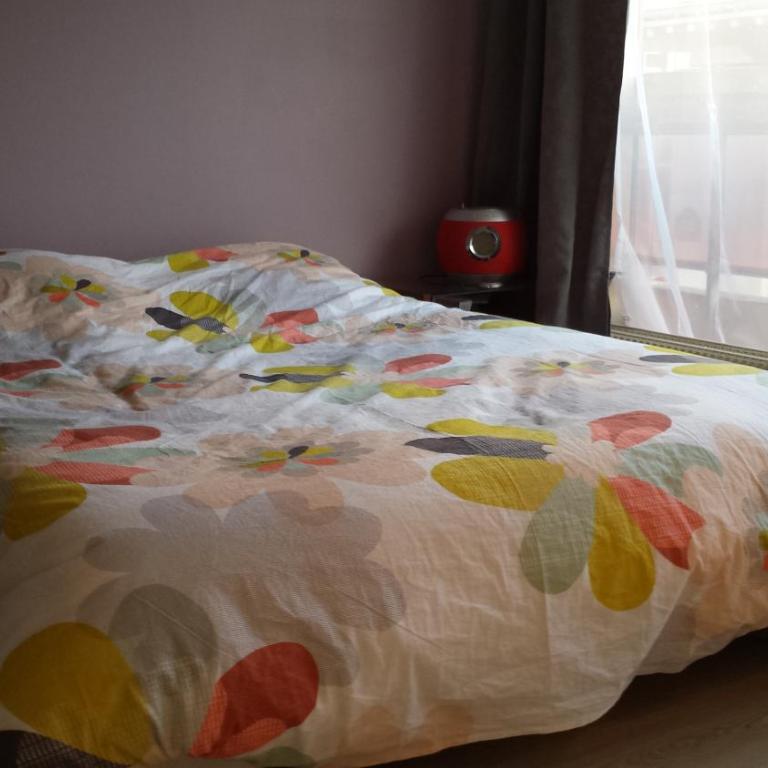 Aligre - Appartement 1 Chambre - 20
