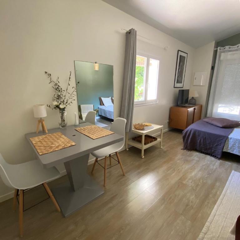 Studio indépendant dans propriété campagne Aixoise terrasse et piscine période estivale - Studio - 15