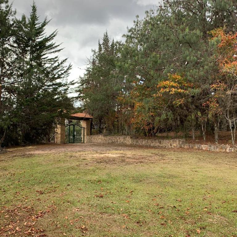 Villa Nelly Country House - Three-Bedroom Vacation Home - 22